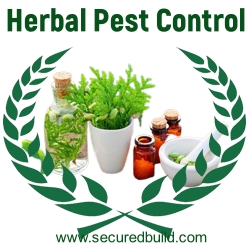 Herbal Pest Control in Gurgaon